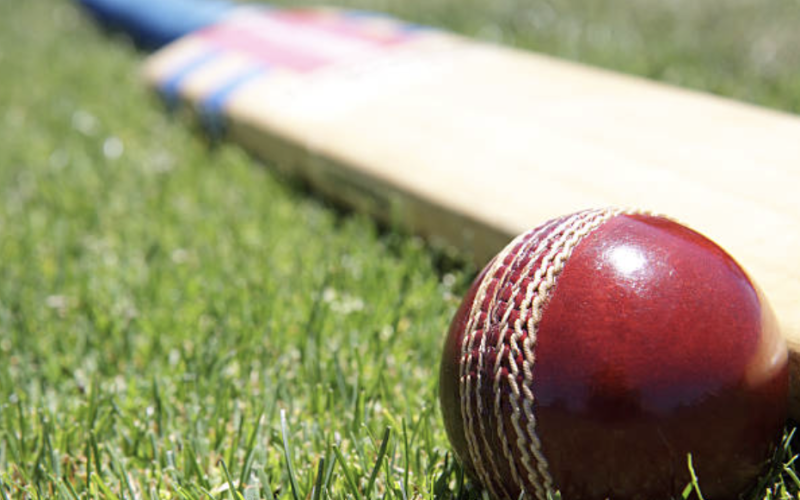 rhinobet-blog-cricket-betting-revies