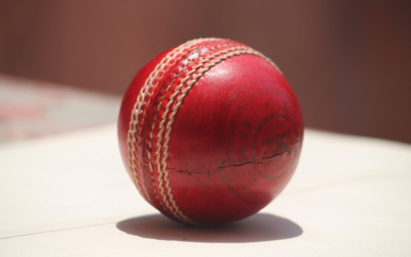 rhinobet-blog-cricket-reviews-for-betting